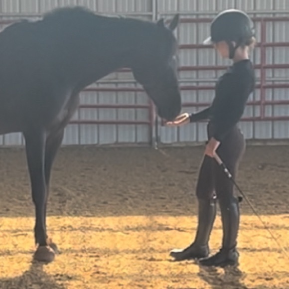 gemhorses98